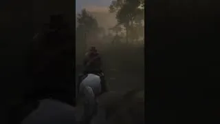 Miniature : Red Dead Redemption II