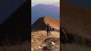 Miniature : Autumn ride 🍁 La Tournette (2351m) #mtbadventure  #downhill  #mtb #downcountry