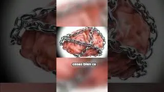 Miniature : Votre attention est piégée !