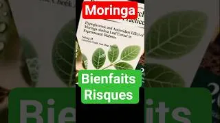 Miniature : Moringa Bienfaits Risques #moringa