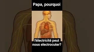 Miniature : Papa, pourquoi l'électricité peut nous électrocuter? #science #saviezvousque #papapourquoi