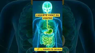 Miniature : Ton anxiété vient de ton VENTRE (Pas de ta tête) 😨