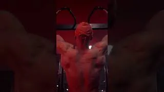 Miniature : Matériel de musculation premium pour viser l’excellence
