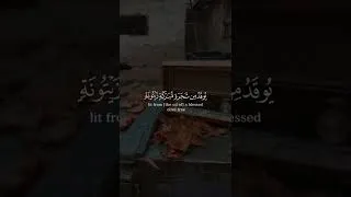 Miniature : الله نور السموات والأرض
