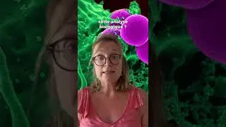 Miniature : LUNDI BIOLOGIE : LE TP #analyse #biologie #infirmiere #soinsinfirmiers #pratikinf #bloodtest