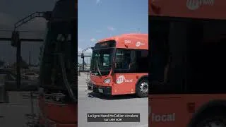 Miniature : Les mardis du transport | La Ligne Hazel McCallion