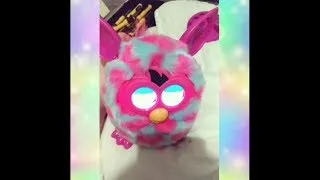 Miniature : Je vous présente Noo-Dah, le Furby qui se prend pour un chien 😐 (Furby Boom)