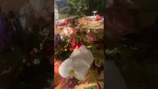 Miniature : ✨WEDDING FOREST✨