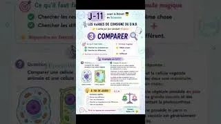 Miniature : Les verbes dans les sujets d'examen
