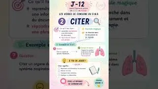 Miniature : Brevet et Verbes !