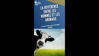 Miniature : La différence entre les hommes et les animaux ? #short #catho #culture