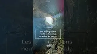 Miniature : Conseil canicule