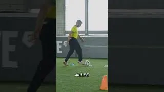 Miniature : C'est un pro, mais il sait même pas réceptionner une balle 🤣