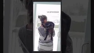 Miniature : Confiance dans le Processus=Essentiel/Même Quand c’est Absurd!#GestionDeProjet #creativiteit #Succès