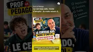 Miniature : 8H05 vs 10H20 : le mystère ado #cerveau #gestiondeclasse