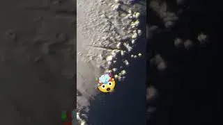 Miniature : Prêt pour le Zoom? #moon #crater #zoom #telescope