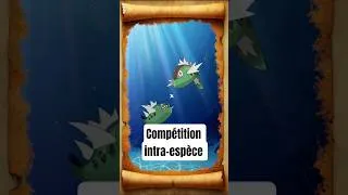 Miniature : Il existe une compétition intra-espèce chez ce Pokémon ! 🐟
