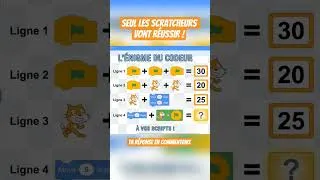 Miniature : 99% des "Scratchers" vont se tromper ! 🐱💻