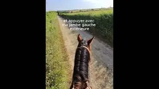 Miniature : L'appuyer en balade