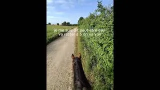Miniature : Un cheval se prépare comme une voiture de course. Si tu ne sais pas faire, tu te mets en danger.
