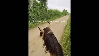 Miniature : Assouplissement de la nuque en balade