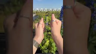 Miniature : Si on avait un pouvoir magique, ce serait celui-là...