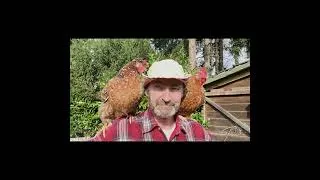Miniature : Sauvez la planète : arrêtez de manger de la viande ! #véganisme #motivation #apprentissage
