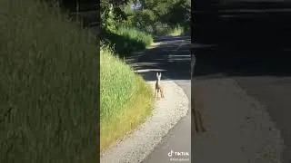 Miniature : pour que vous l'ayez bien dans la tête 🤣