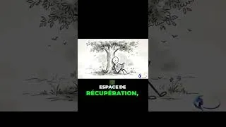 Miniature : Arrêtez de fuir la solitude #santementale #philosophie #mental