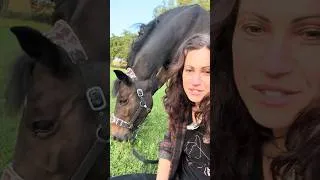 Miniature : 🪜Progressif #cheval #questcequejedevraischoisir