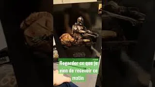 Miniature : mon.nouveau cadeau thé mandalorian