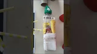 Miniature : egg drop challenge V