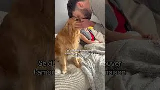 Miniature : La déception est immense 😬
