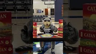 Miniature : Catan x Minnesota Timberwolves