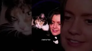 Miniature : Miaou 🐈‍⬛😏 #streameuse #streameusefr #humour #twitchfr #twitchfrance