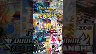 Miniature : Tout savoir sur ev10.5 Foudre Noire et Flamme Blanche