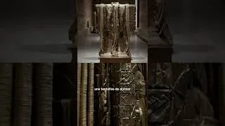 Miniature : "Quand Un Nœud Est Dénoué, Un Dieu Est Libéré" - Barbara Chase-Riboud (2/3)
