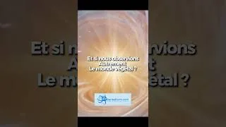 Miniature : Et si nous observions le monde végétal autrement ?