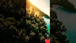 Miniature : 🌅 "Là où la forêt embrasse l'océan... au bout du monde 🌴🌊""Ce coucher de soleil