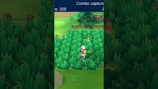 Miniature : Réaction au Sabelette Shiny en 65 Capture #pokemon #bestof #gaming #shinypokemon