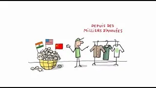 Miniature : L’origine du coton : d’où vient-il vraiment