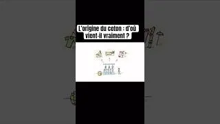 Miniature : L’origine du coton : d’où vient-il vraiment