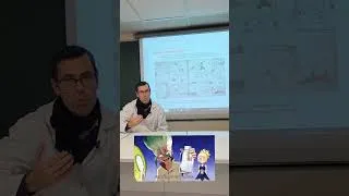 Miniature : DS de Physique-Chimie sur le manga "Dr Stone" #manga #anime #science