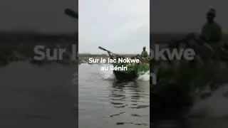 Miniature : Drummers and dancers on lake Nokwe in Bénin