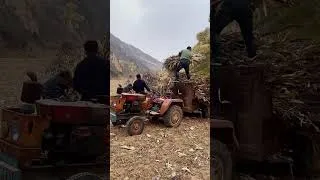 Miniature : les travailleurs de la canne a sucre de l'inde