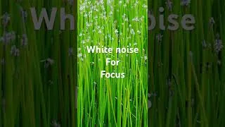 Miniature : 20 Seconds of Pure White Noise 🎧 | Instant Focus Boost