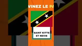 Miniature : Quiz culturel général /Devine le drapeau. #quiz https://youtu.be/miN_P3Zu77I?si=yoYo9kSfwA2jZAR2