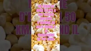 Miniature : Popcorn 🍿