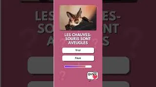 Miniature : Quiz Vrai ou Faux #vraioufaux #quiztime #culturegénérale #culturegenerale