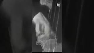Miniature : Kenny Clarke | Live at Club Saint-Germain | 1959